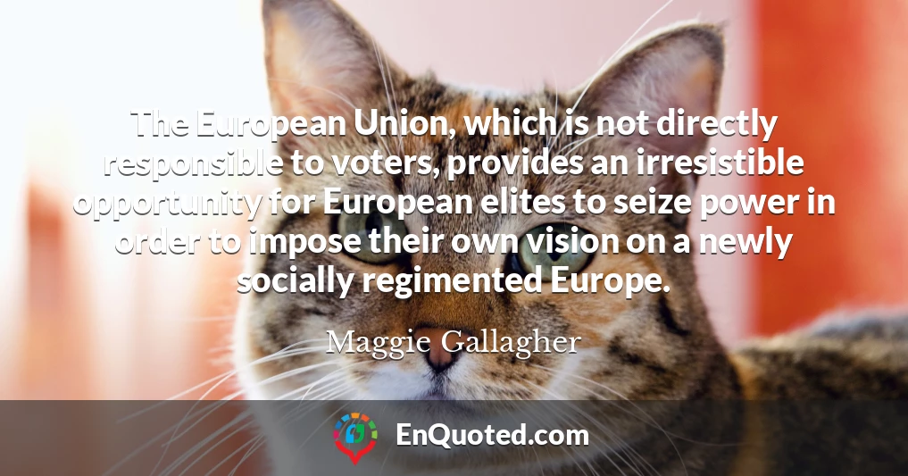 The European Union, which is not directly responsible to voters, provides an irresistible opportunity for European elites to seize power in order to impose their own vision on a newly socially regimented Europe.