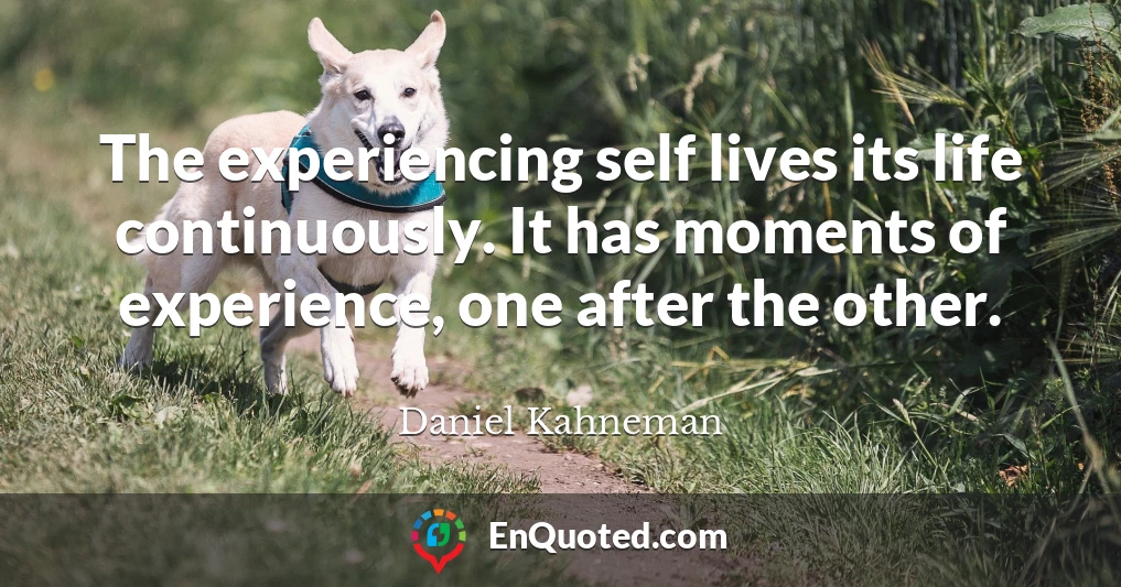 The experiencing self lives its life continuously. It has moments of experience, one after the other.