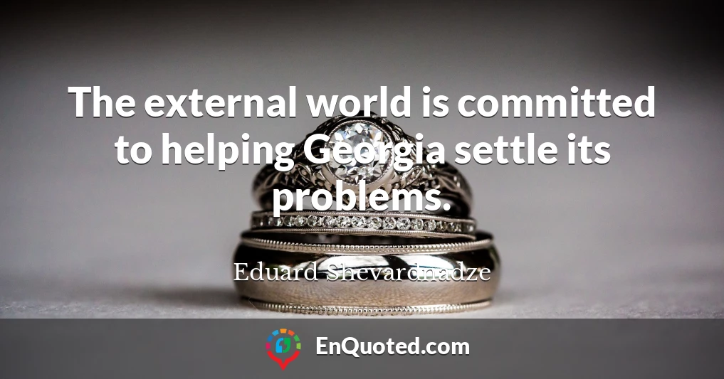 The external world is committed to helping Georgia settle its problems.
