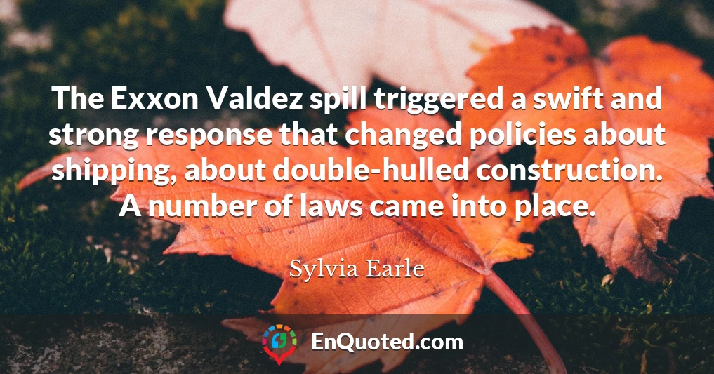 The Exxon Valdez spill triggered a swift and strong response that changed policies about shipping, about double-hulled construction. A number of laws came into place.