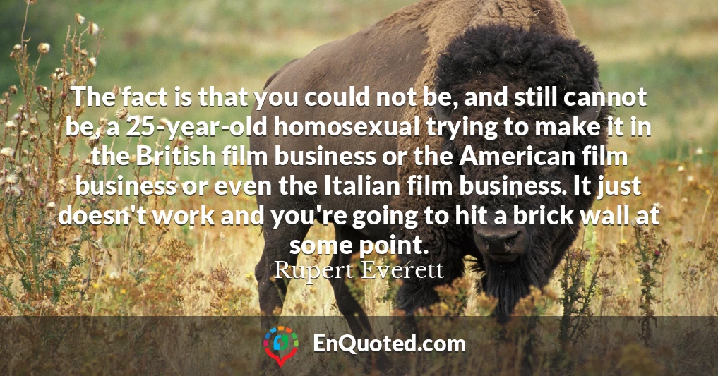 The fact is that you could not be, and still cannot be, a 25-year-old homosexual trying to make it in the British film business or the American film business or even the Italian film business. It just doesn't work and you're going to hit a brick wall at some point.