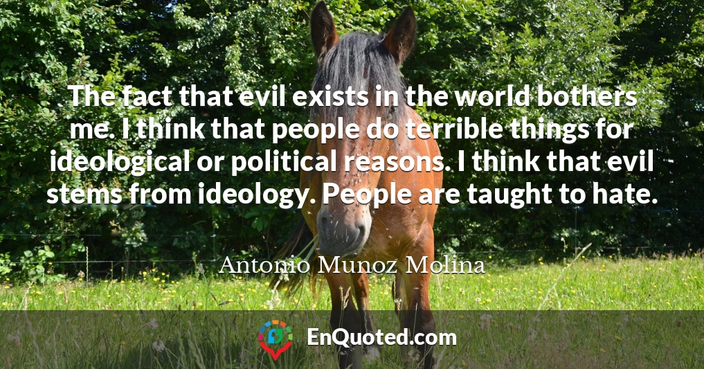 The fact that evil exists in the world bothers me. I think that people do terrible things for ideological or political reasons. I think that evil stems from ideology. People are taught to hate.