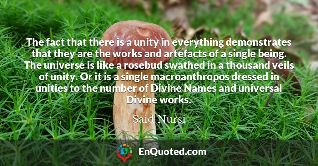 The fact that there is a unity in everything demonstrates that they are the works and artefacts of a single being. The universe is like a rosebud swathed in a thousand veils of unity. Or it is a single macroanthropos dressed in unities to the number of Divine Names and universal Divine works.