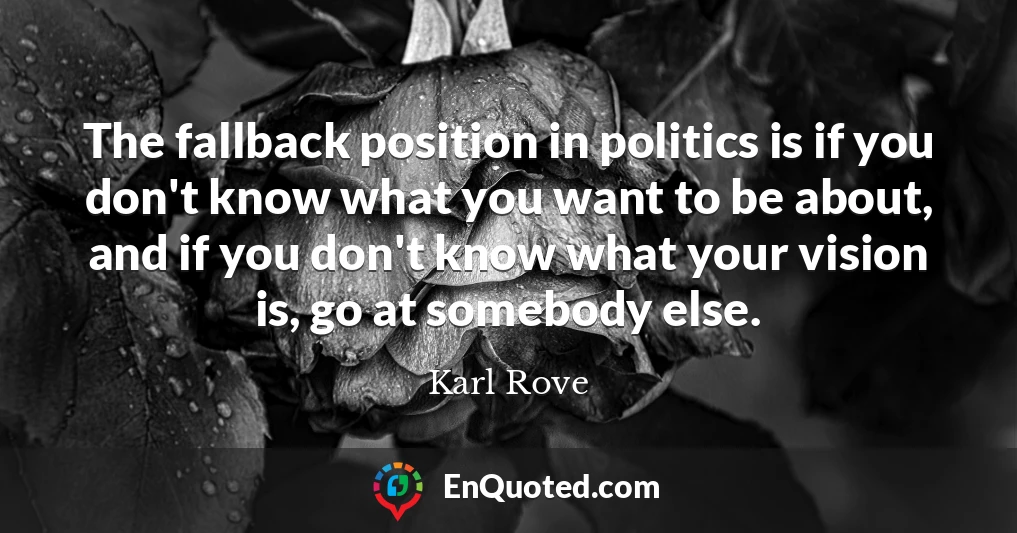 The fallback position in politics is if you don't know what you want to be about, and if you don't know what your vision is, go at somebody else.