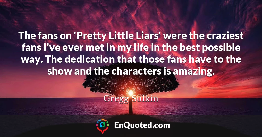 The fans on 'Pretty Little Liars' were the craziest fans I've ever met in my life in the best possible way. The dedication that those fans have to the show and the characters is amazing.
