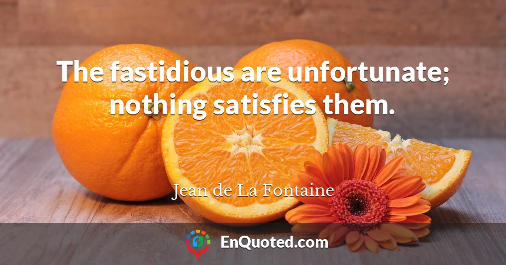 The fastidious are unfortunate; nothing satisfies them.