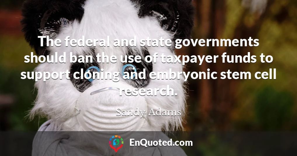 The federal and state governments should ban the use of taxpayer funds to support cloning and embryonic stem cell research.