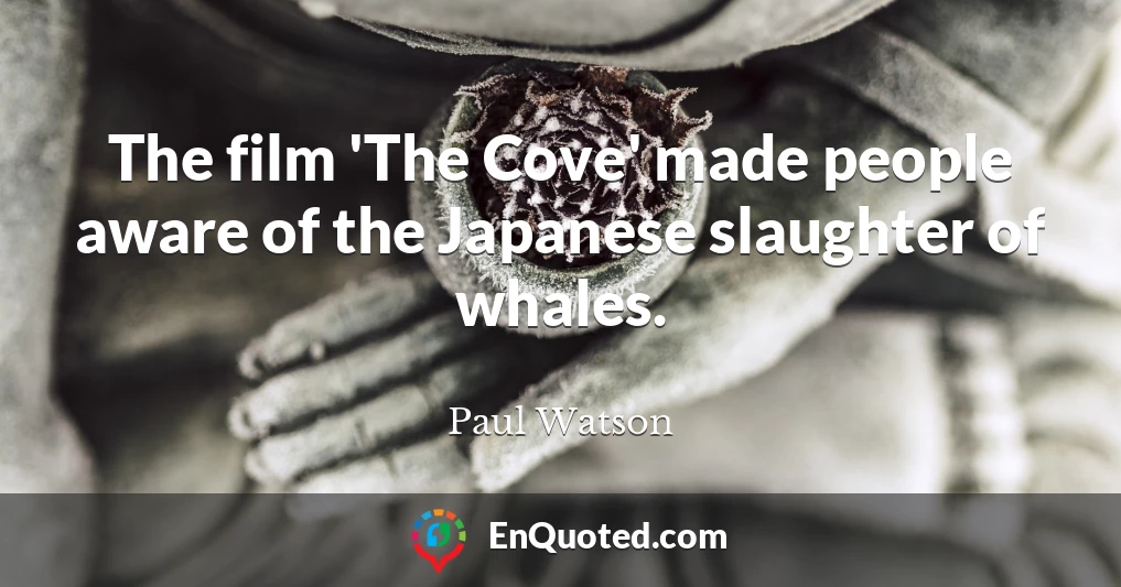 The film 'The Cove' made people aware of the Japanese slaughter of whales.