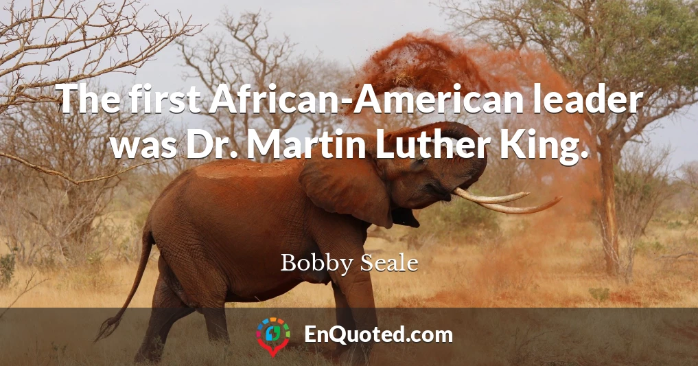 The first African-American leader was Dr. Martin Luther King.