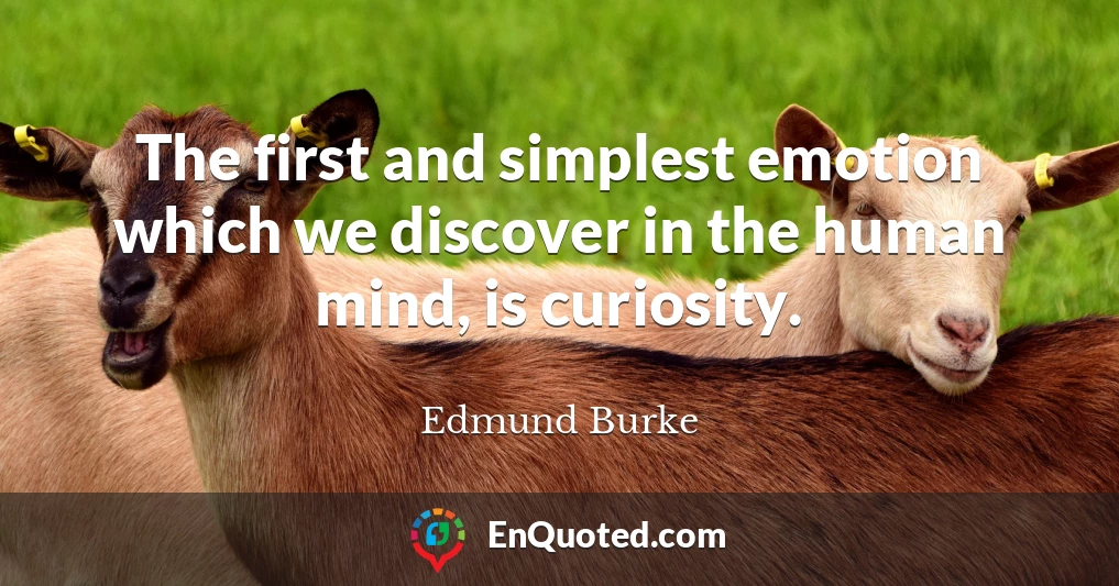 The first and simplest emotion which we discover in the human mind, is curiosity.