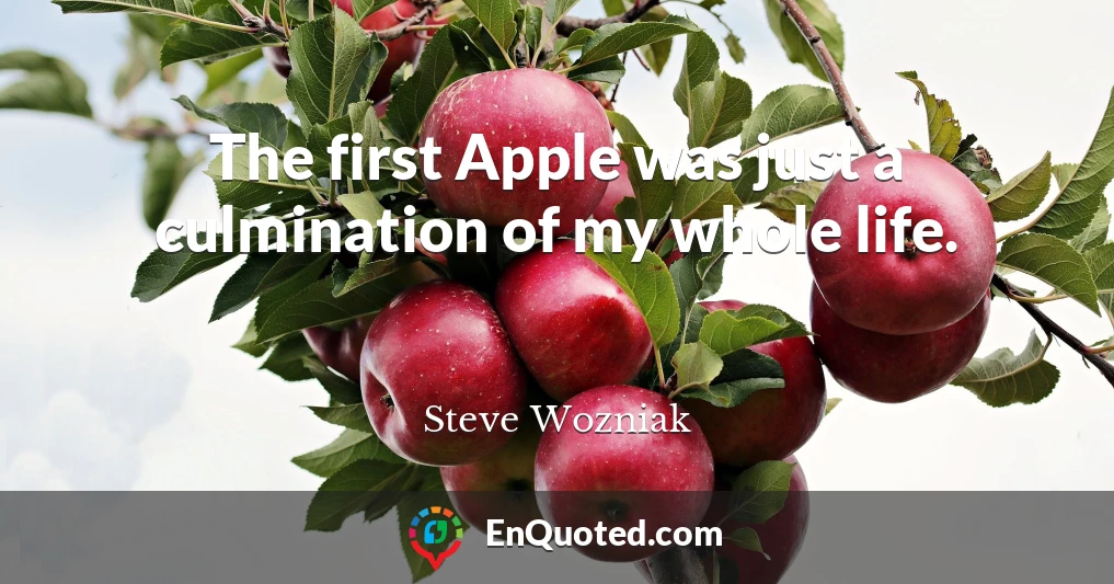 The first Apple was just a culmination of my whole life.