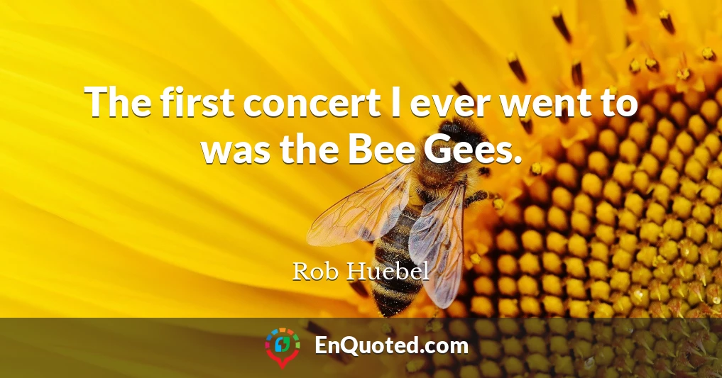 The first concert I ever went to was the Bee Gees.