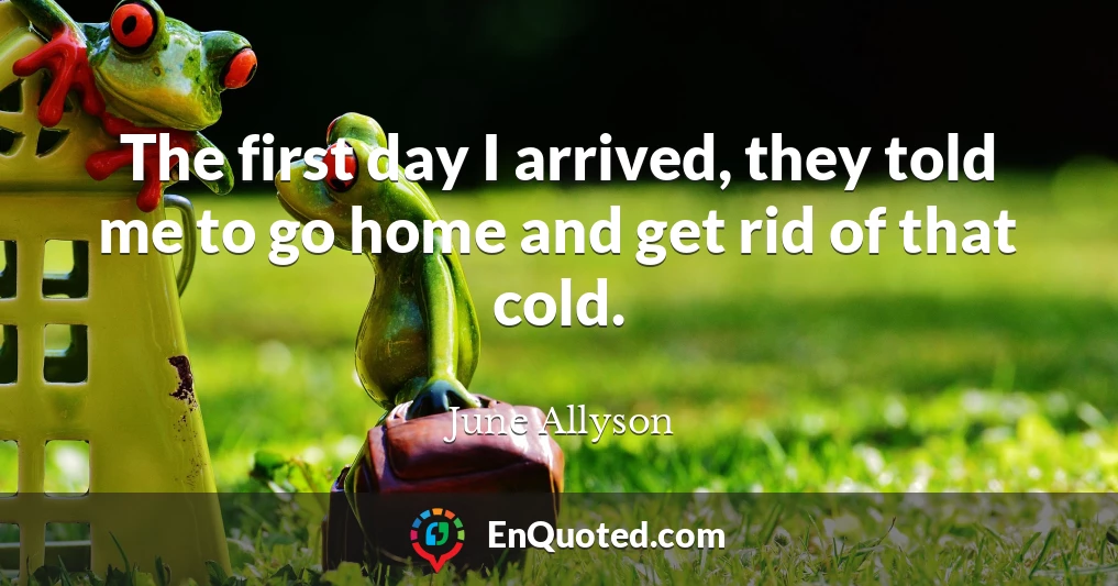The first day I arrived, they told me to go home and get rid of that cold.