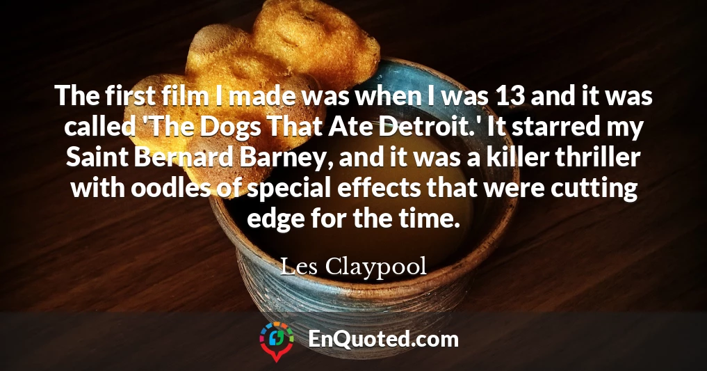 The first film I made was when I was 13 and it was called 'The Dogs That Ate Detroit.' It starred my Saint Bernard Barney, and it was a killer thriller with oodles of special effects that were cutting edge for the time.