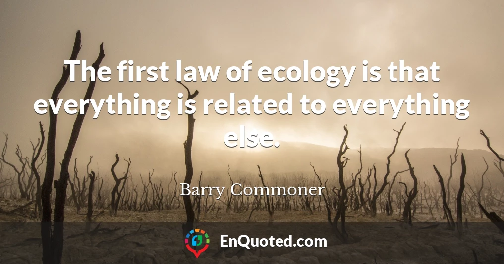 The first law of ecology is that everything is related to everything else.