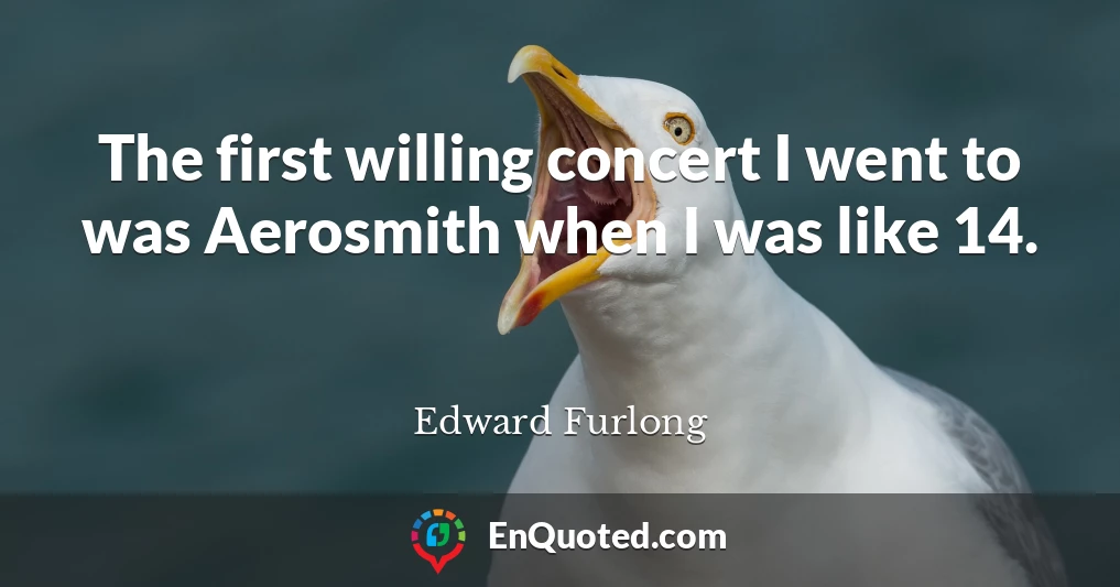 The first willing concert I went to was Aerosmith when I was like 14.