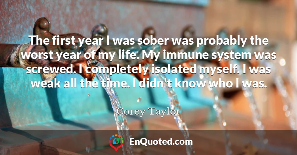 The first year I was sober was probably the worst year of my life. My immune system was screwed. I completely isolated myself. I was weak all the time. I didn't know who I was.