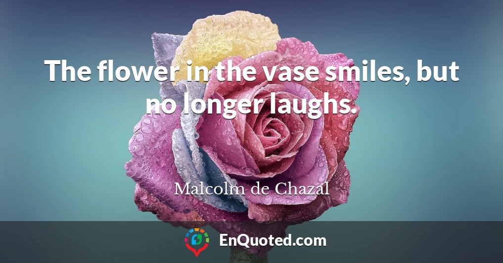 The flower in the vase smiles, but no longer laughs.