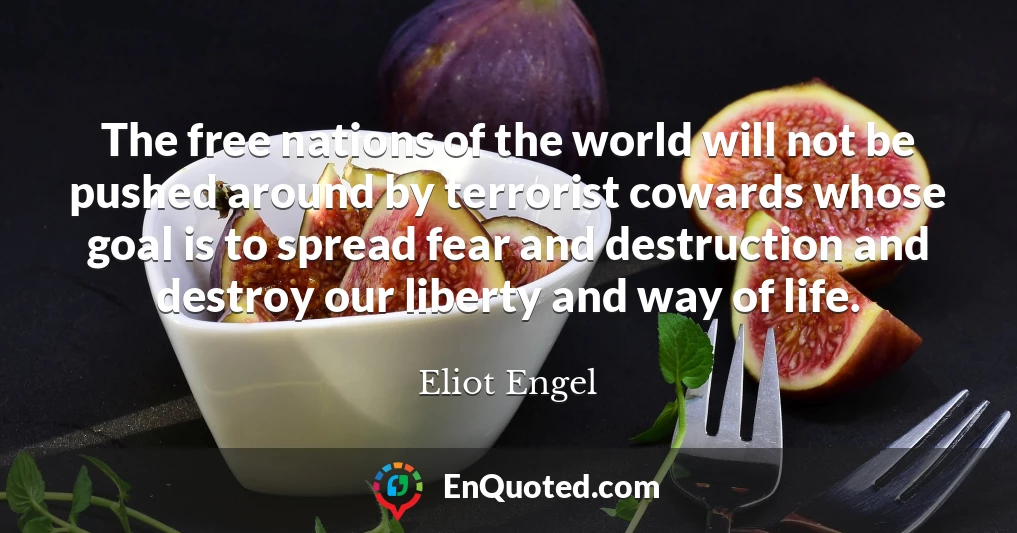 The free nations of the world will not be pushed around by terrorist cowards whose goal is to spread fear and destruction and destroy our liberty and way of life.
