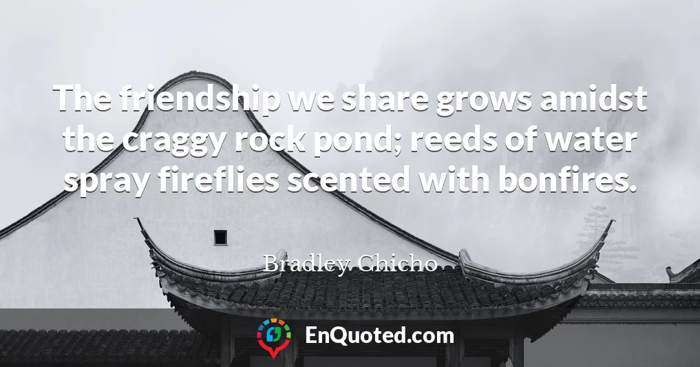 The friendship we share grows amidst the craggy rock pond; reeds of water spray fireflies scented with bonfires.