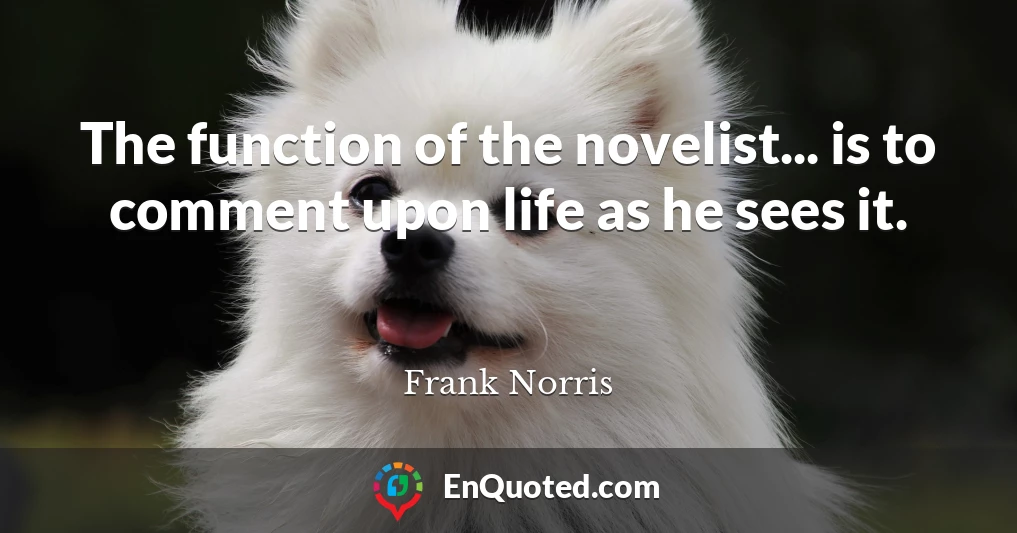 The function of the novelist... is to comment upon life as he sees it.