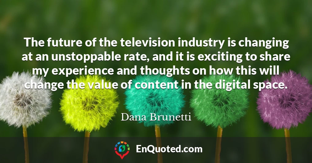 The future of the television industry is changing at an unstoppable rate, and it is exciting to share my experience and thoughts on how this will change the value of content in the digital space.