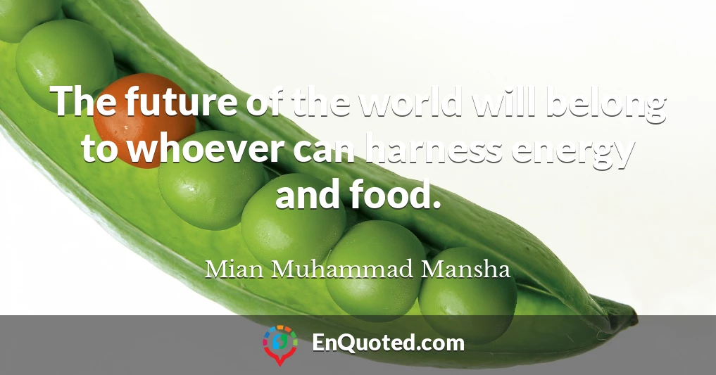 The future of the world will belong to whoever can harness energy and food.