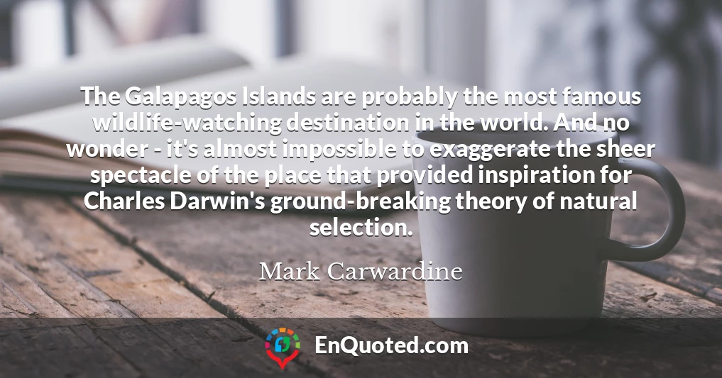 The Galapagos Islands are probably the most famous wildlife-watching destination in the world. And no wonder - it's almost impossible to exaggerate the sheer spectacle of the place that provided inspiration for Charles Darwin's ground-breaking theory of natural selection.