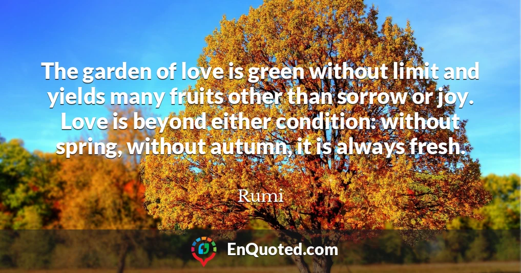 The garden of love is green without limit and yields many fruits other than sorrow or joy. Love is beyond either condition: without spring, without autumn, it is always fresh.