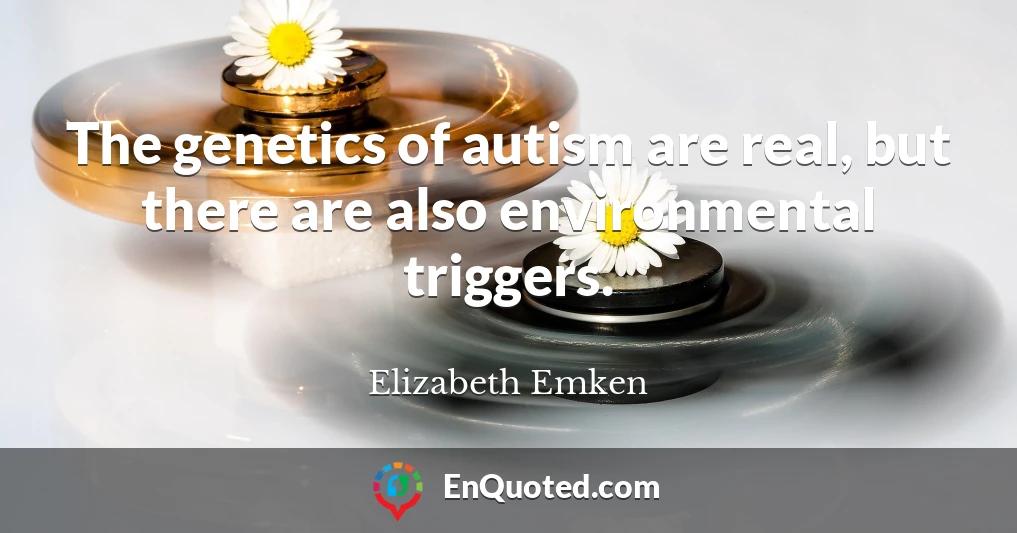 The genetics of autism are real, but there are also environmental triggers.