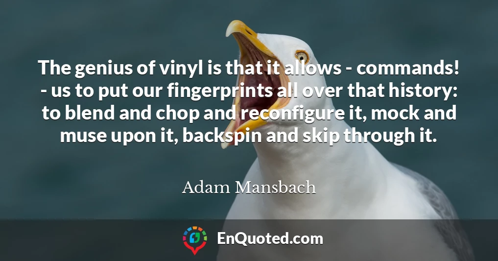 The genius of vinyl is that it allows - commands! - us to put our fingerprints all over that history: to blend and chop and reconfigure it, mock and muse upon it, backspin and skip through it.