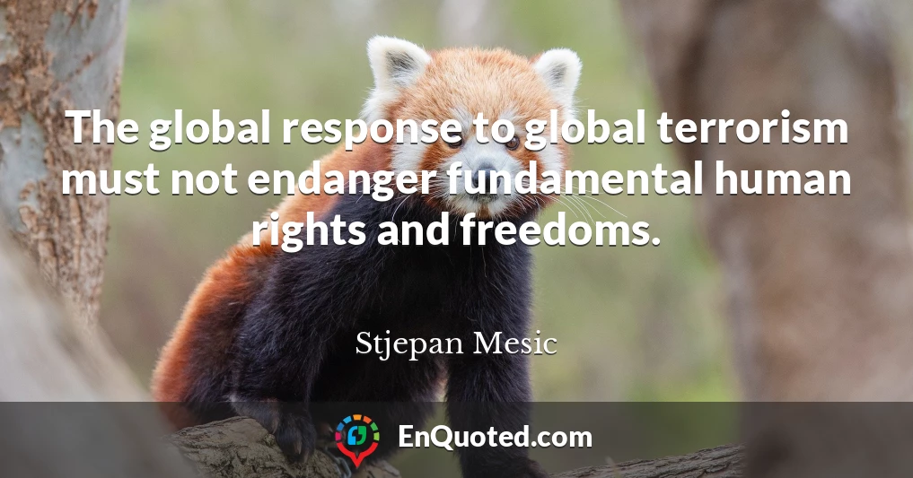 The global response to global terrorism must not endanger fundamental human rights and freedoms.