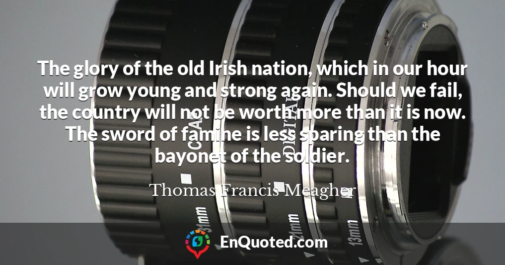The glory of the old Irish nation, which in our hour will grow young and strong again. Should we fail, the country will not be worth more than it is now. The sword of famine is less sparing than the bayonet of the soldier.