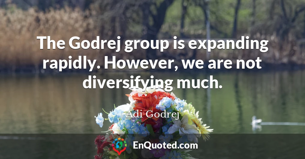 The Godrej group is expanding rapidly. However, we are not diversifying much.