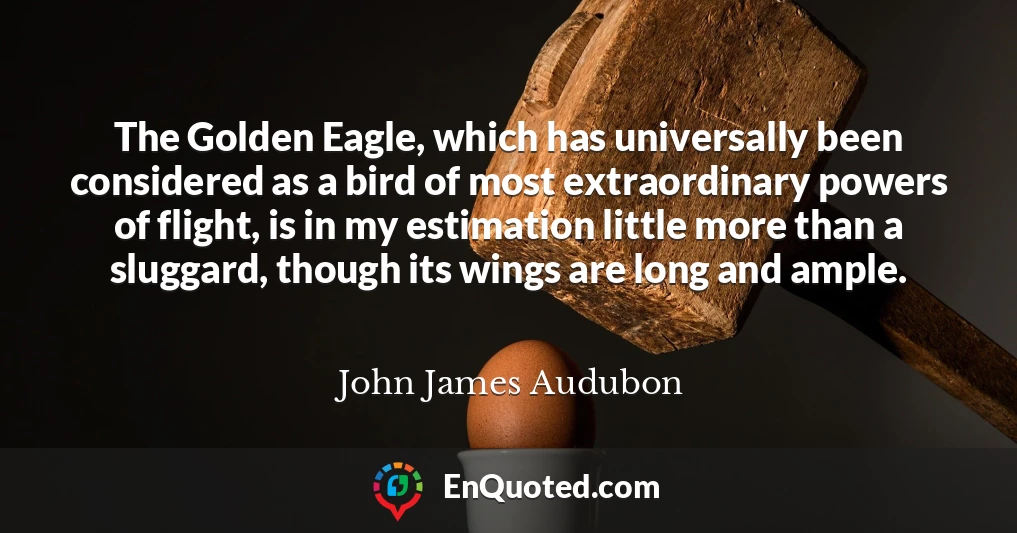 The Golden Eagle, which has universally been considered as a bird of most extraordinary powers of flight, is in my estimation little more than a sluggard, though its wings are long and ample.