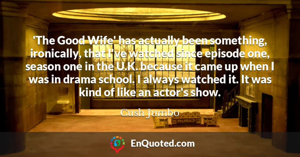 'The Good Wife' has actually been something, ironically, that I've watched since episode one, season one in the U.K. because it came up when I was in drama school. I always watched it. It was kind of like an actor's show.