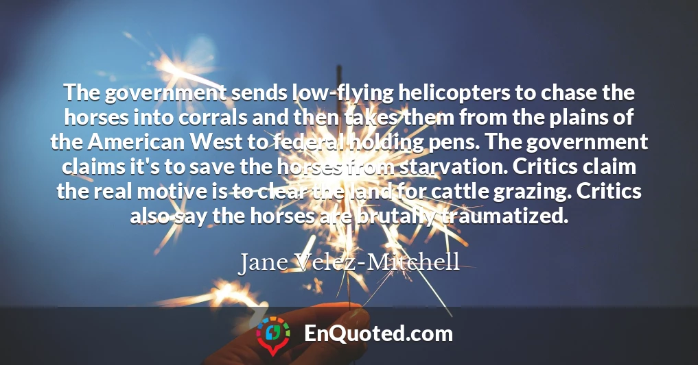 The government sends low-flying helicopters to chase the horses into corrals and then takes them from the plains of the American West to federal holding pens. The government claims it's to save the horses from starvation. Critics claim the real motive is to clear the land for cattle grazing. Critics also say the horses are brutally traumatized.