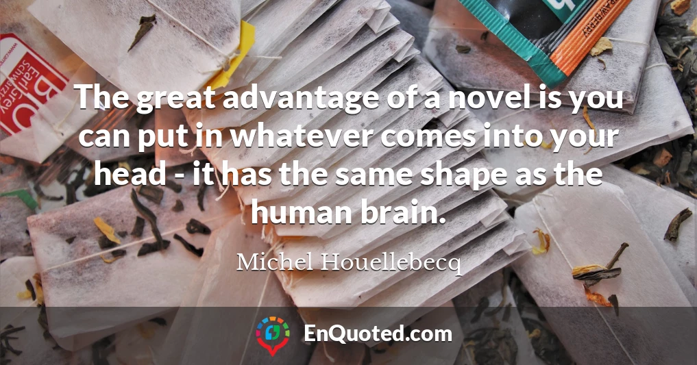 The great advantage of a novel is you can put in whatever comes into your head - it has the same shape as the human brain.