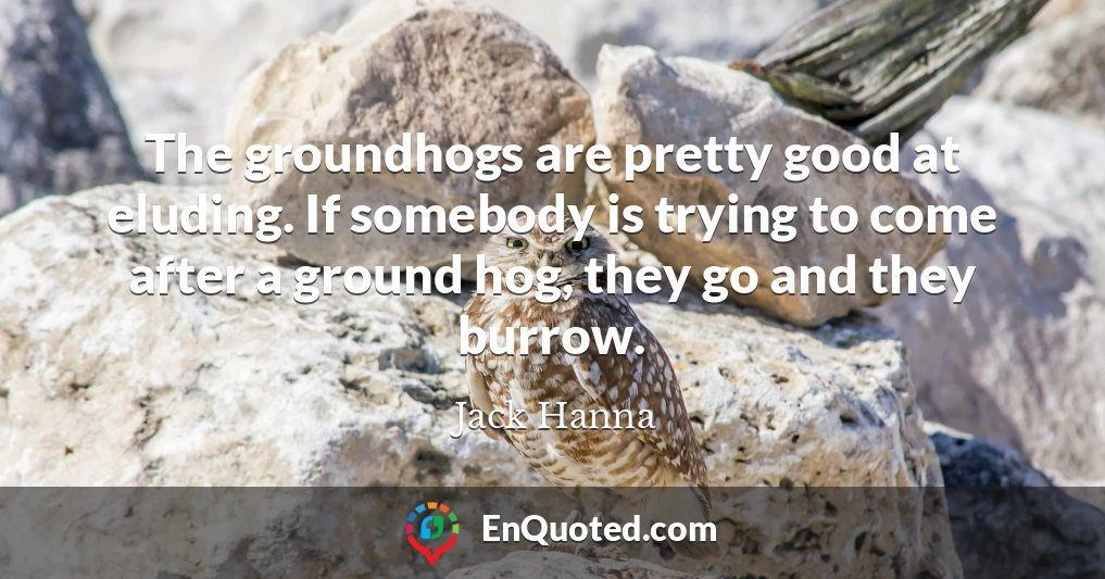 The groundhogs are pretty good at eluding. If somebody is trying to come after a ground hog, they go and they burrow.