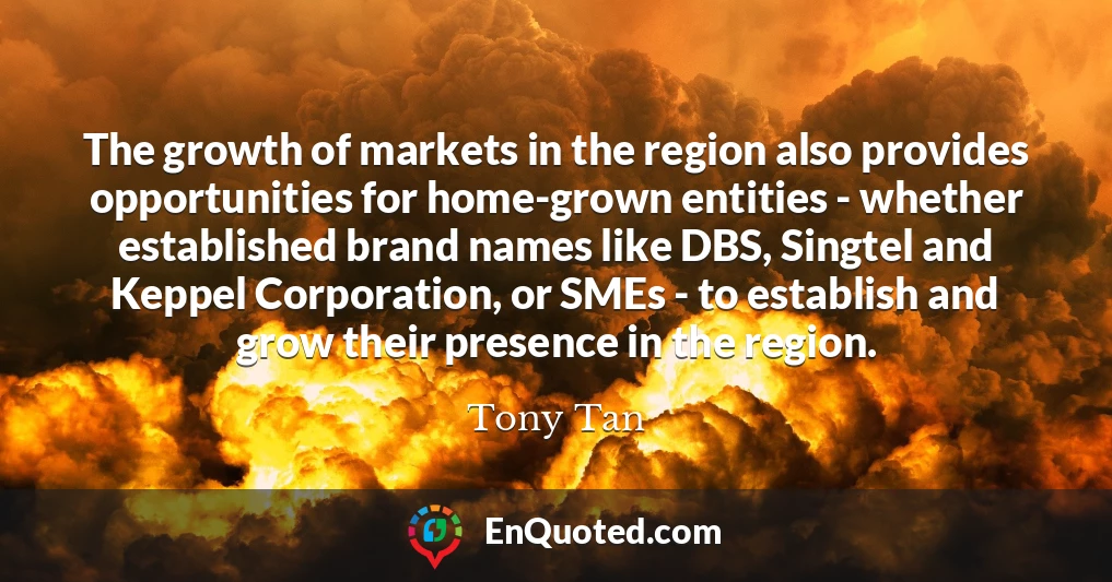 The growth of markets in the region also provides opportunities for home-grown entities - whether established brand names like DBS, Singtel and Keppel Corporation, or SMEs - to establish and grow their presence in the region.