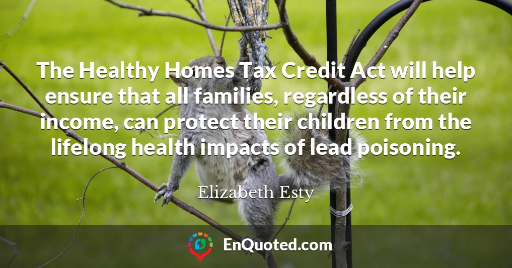 The Healthy Homes Tax Credit Act will help ensure that all families, regardless of their income, can protect their children from the lifelong health impacts of lead poisoning.