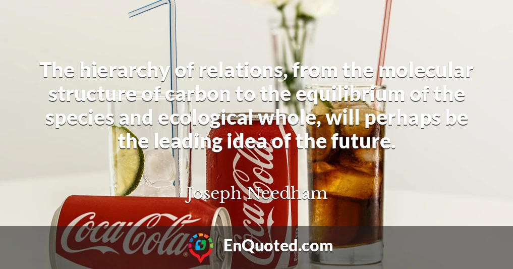 The hierarchy of relations, from the molecular structure of carbon to the equilibrium of the species and ecological whole, will perhaps be the leading idea of the future.