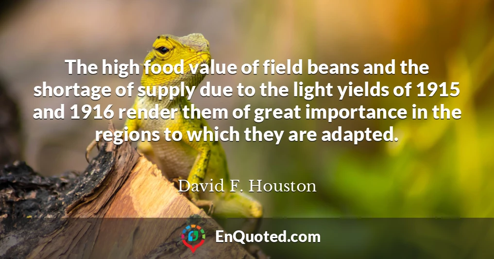 The high food value of field beans and the shortage of supply due to the light yields of 1915 and 1916 render them of great importance in the regions to which they are adapted.