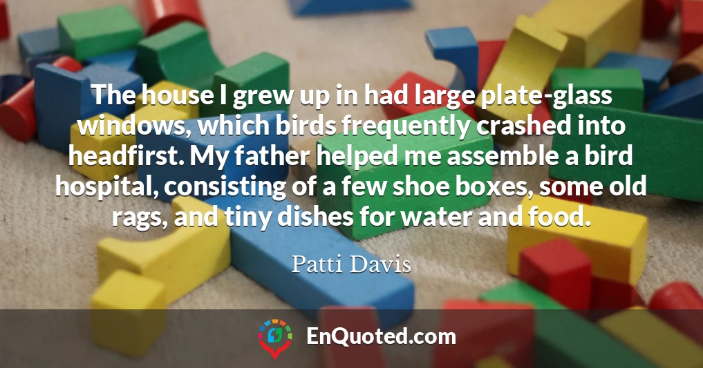 The house I grew up in had large plate-glass windows, which birds frequently crashed into headfirst. My father helped me assemble a bird hospital, consisting of a few shoe boxes, some old rags, and tiny dishes for water and food.