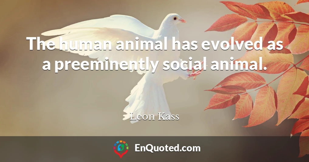The human animal has evolved as a preeminently social animal.