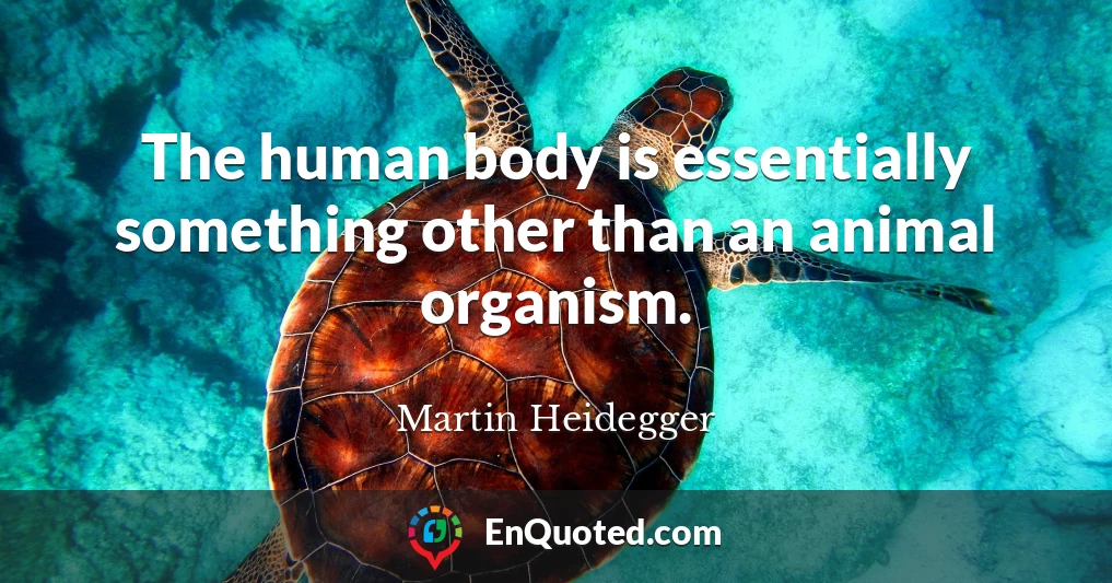 The human body is essentially something other than an animal organism.