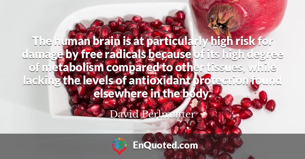 The human brain is at particularly high risk for damage by free radicals because of its high degree of metabolism compared to other tissues, while lacking the levels of antioxidant protection found elsewhere in the body.