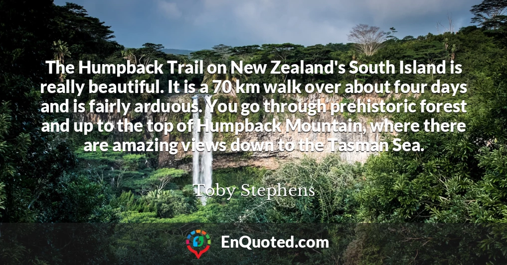 The Humpback Trail on New Zealand's South Island is really beautiful. It is a 70 km walk over about four days and is fairly arduous. You go through prehistoric forest and up to the top of Humpback Mountain, where there are amazing views down to the Tasman Sea.