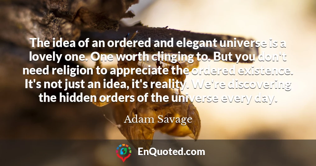 The idea of an ordered and elegant universe is a lovely one. One worth clinging to. But you don't need religion to appreciate the ordered existence. It's not just an idea, it's reality. We're discovering the hidden orders of the universe every day.
