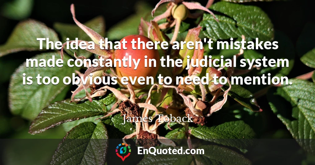 The idea that there aren't mistakes made constantly in the judicial system is too obvious even to need to mention.